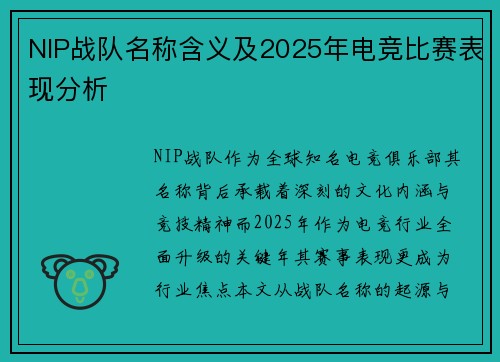 NIP战队名称含义及2025年电竞比赛表现分析